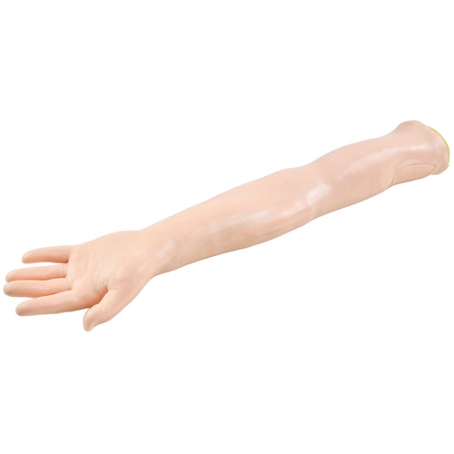 Anatomical Models - Injection Arm